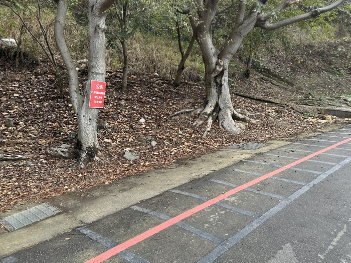 紅線禁止停車(另開新視窗/jpg檔)圖片